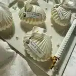 Pearl Detailed Mother-of-Pearl Oyster Candle Engagement, Wedding, Birthday, Wedding, Gift - Image 4